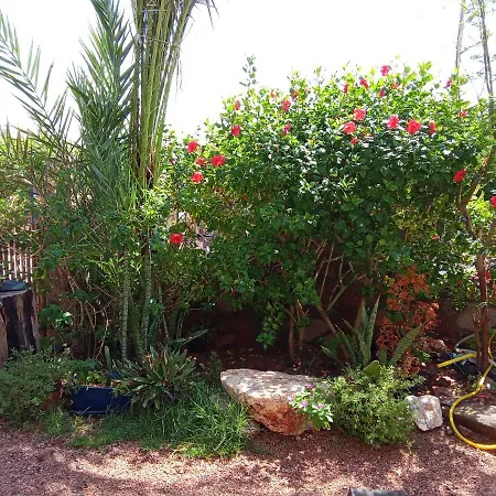 El Garden