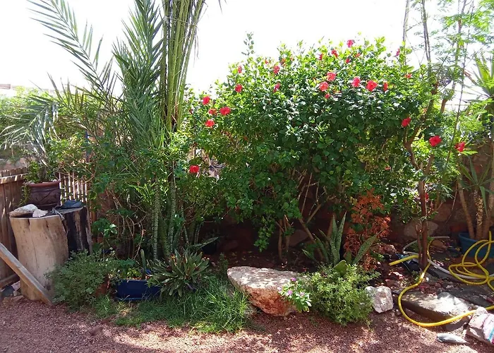 El Garden *