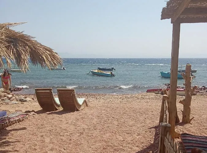 El Garden دهب